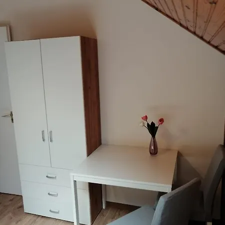 Apartment Rigo Vendeghaz *